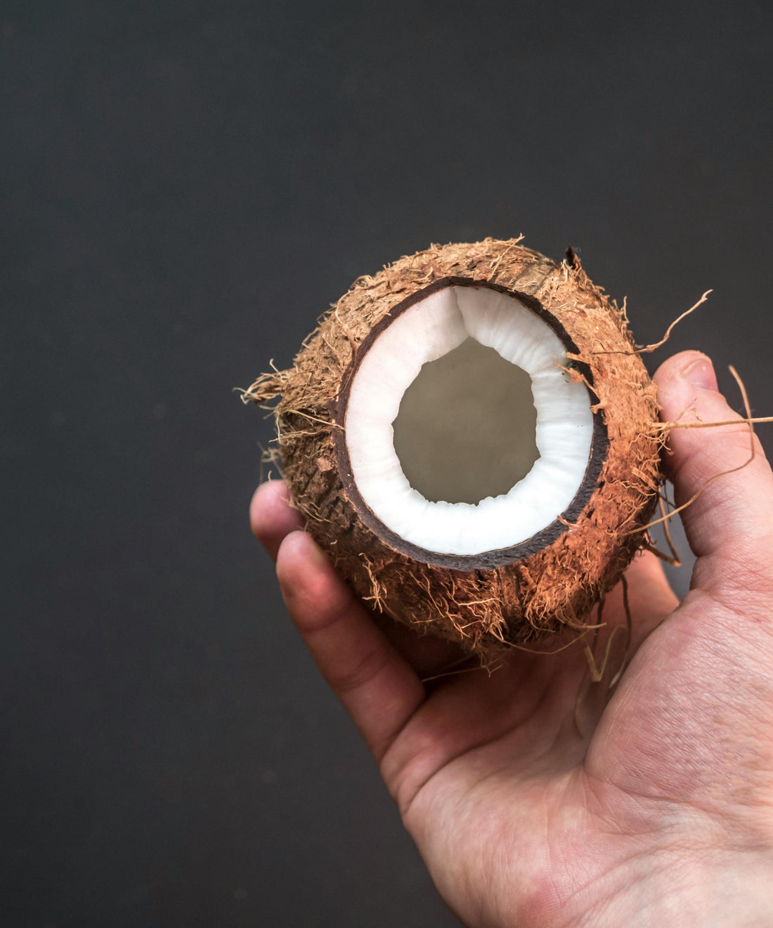 What is a Coconut?